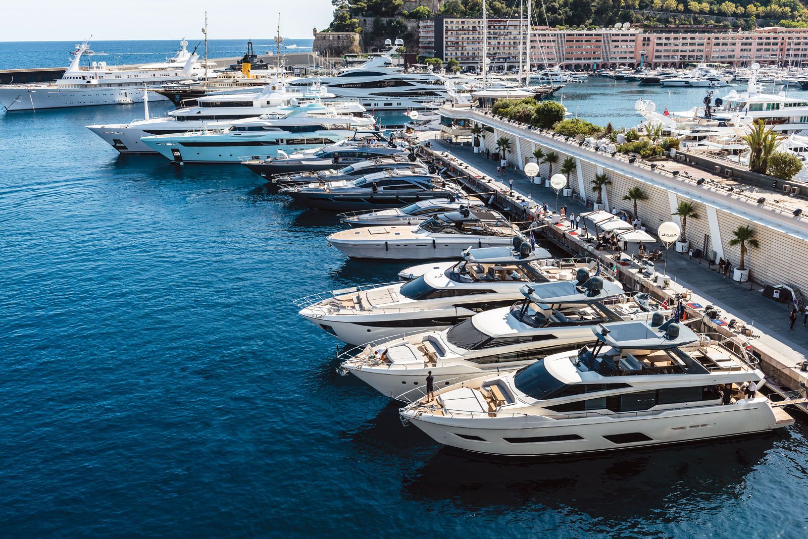 monte carlo yacht club membership fee