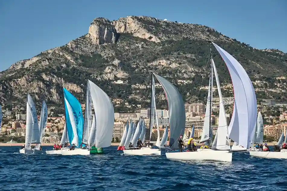 voile adulte