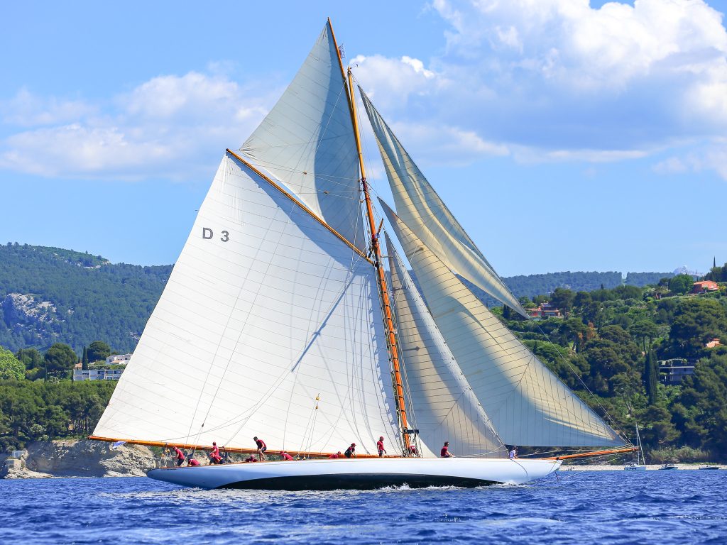 tuiga