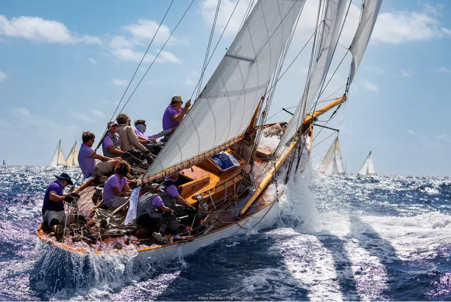 viola