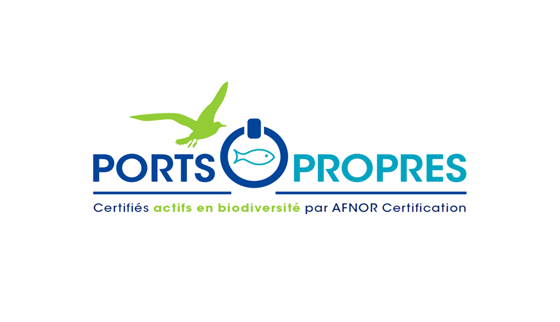 ports propres monaco