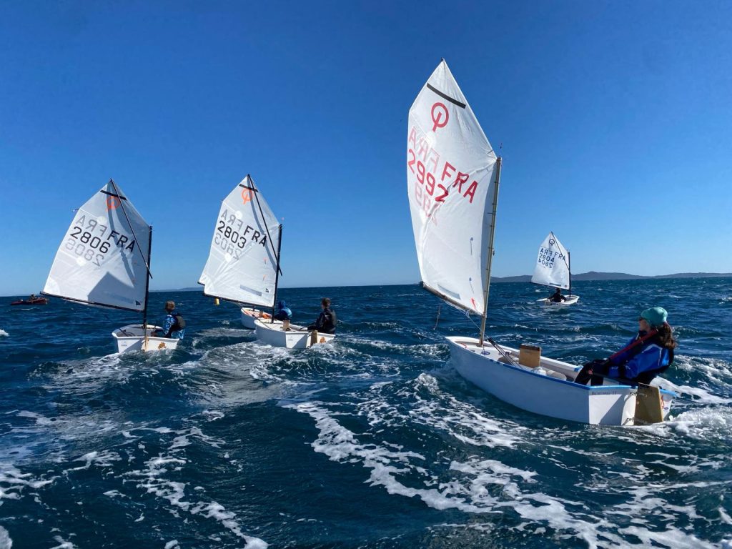 Les jeunes pousses fleurissent 5 optimist jeune