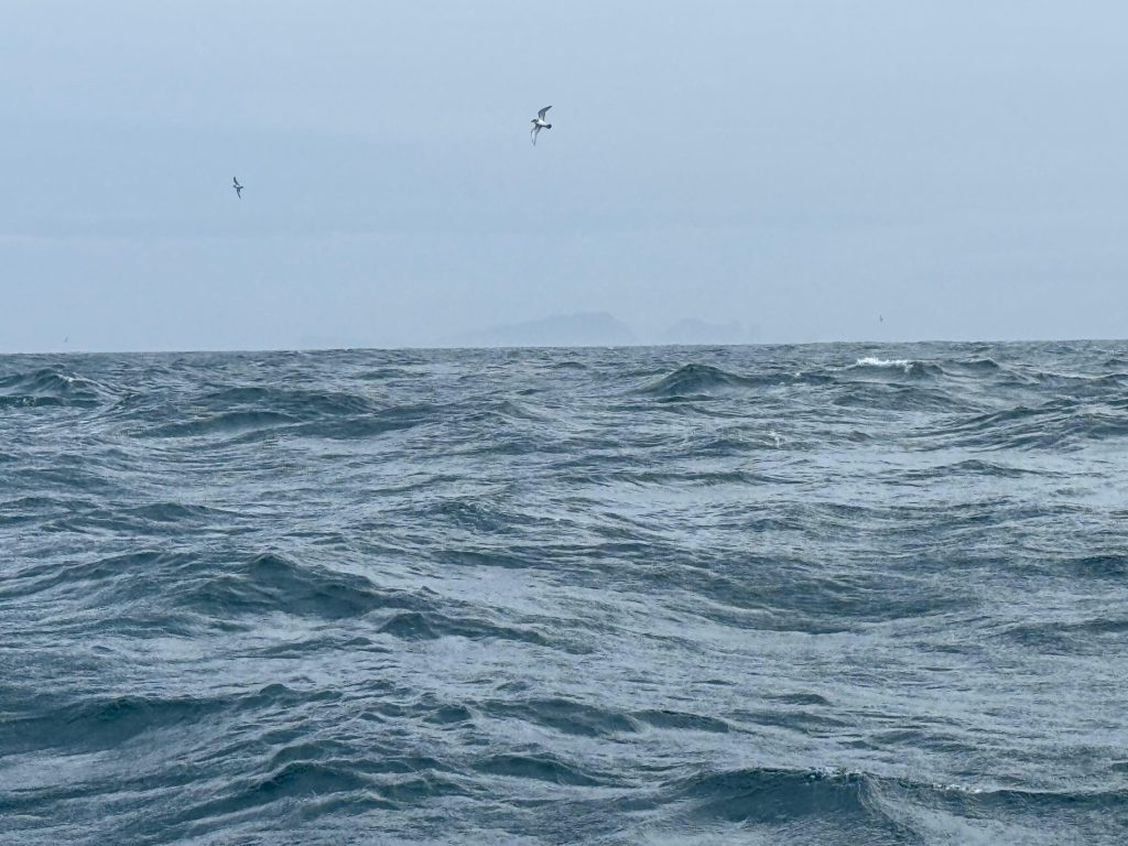 Welcome to the Southern Ocean 2 Océan Austral