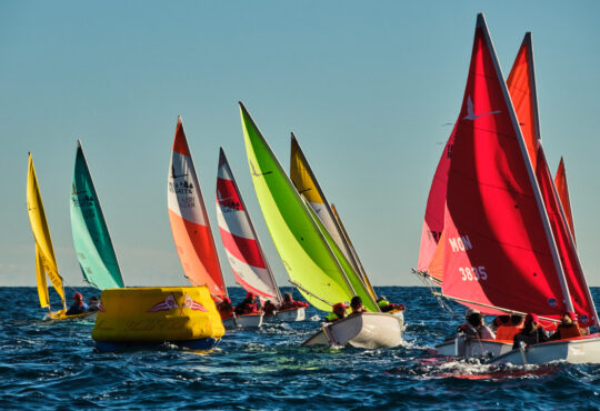 20251129 DSCF8743@mesi BD