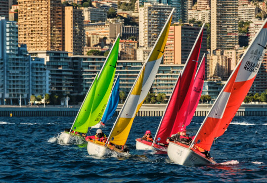 20251129 DSCF8893@mesi BD