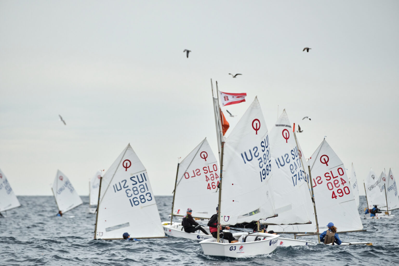 monaco optimist team race