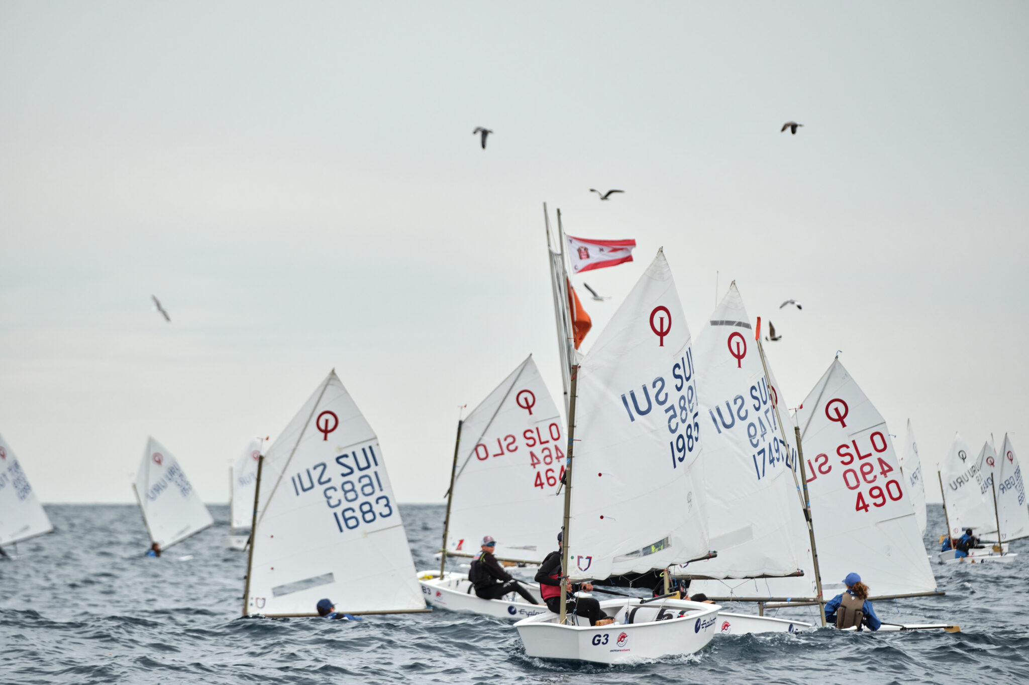 monaco optimist team race