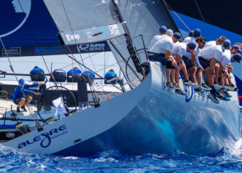 Alegre au contact dans la baie de Palma