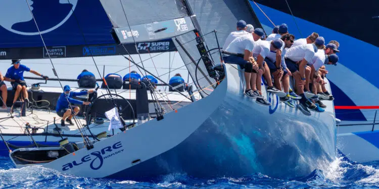 Alegre au contact dans la baie de Palma