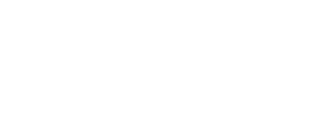 ICON Logo 2026 WHITE