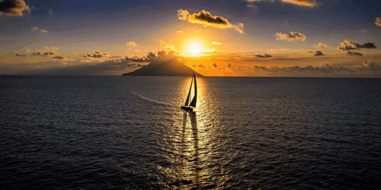 Victoire de Black Jack 100 du Y.C.M.