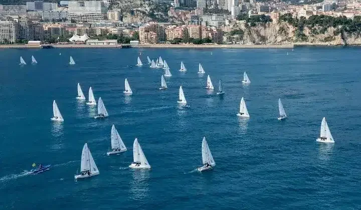voile adulte