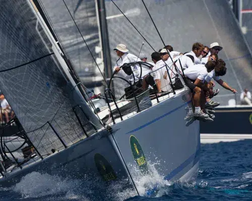 rc44 régate