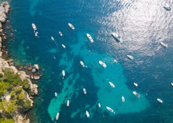 Le SEA Index® reconnu comme outil clé du projet Adapt-Pelagos