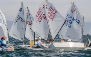 8e Optimist – OptiOrange - Valence